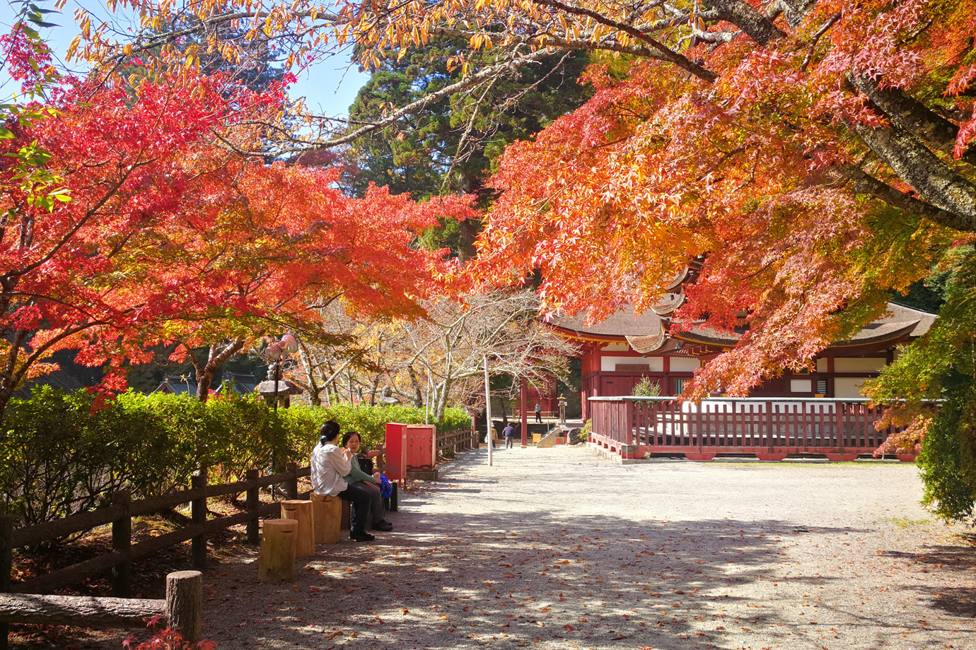 奈良-談山神社